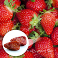 Collation saine Soudure douce Strawberry séchée